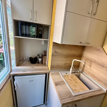 Please * Μπουργκάς